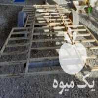 فروش یدک کش دستگاه نشا در جویبار در گروه خرید فروش نشا - انواع گوجه برنج کاهو پیاز کاری فرنگی در یکمیوه