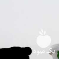 فروش پخش عمده ومویرگی خرمای تک کام در اهواز در گروه عسل شیره و فرآورده ی مربا - طبیعی گون کوهی آویشن در یکمیوه