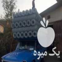 فروش تولید فنس گابیون توری گالوانیزه گرم پایه در لاهیجان در گروه خرید فروش عمده کیوی - صادراتی مازندران تنکابن تالش در یکمیوه