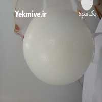 فروش پوکه تخم شترمرغ در تهران در گروه انواع تخم ها - مرغ بوقلمون پرنده عمده کشاورزی در یکمیوه