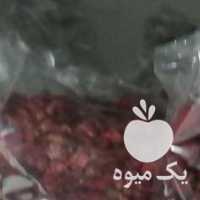فروش زرشک اعلای دانه اناری امسالی خراسان جنوبی در ارومیه در گروه خرید فروش عمده ازگیل و تمشک و زرشک - ژاپنی فروش مستقیم در یکمیوه