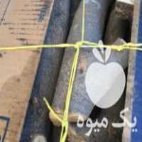 فروش چوب جایگزین ذغال هیزم شومینه در اصفهان در گروه خرید فروش عمده چوب- زغال چوب گردو تبریزی خام در یکمیوه