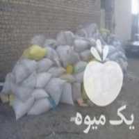 خریدار کود کبوتر وحشی در پاکدشت در گروه خرید فروش کود و مواد شیمیایی - اوره پتاس مرغی کمپوست آهن در یکمیوه