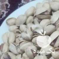 فروش پسته رفسنجان در یزد در گروه پسته - کوهی شامی خام اکبری تازه کله قوچی در یکمیوه