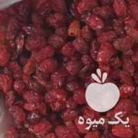 فروش زرشک پلویی در تهران در گروه خرید فروش عمده ازگیل و تمشک و زرشک - ژاپنی فروش مستقیم در یکمیوه