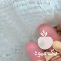 فروش پسته رفسنجان شب عید در تهران در گروه پسته - کوهی شامی خام اکبری تازه کله قوچی در یکمیوه