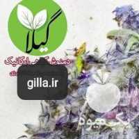 فروش چای کوهی در رشت در گروه خرید فروش عمده چای - سبز ترش کوهی سیاه در یکمیوه
