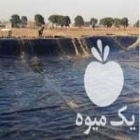 فروش عایق بندی و پوشش دهی استخر های پلیمری در اصفهان در گروه خرید فروش انواع پوشش ها و ورق ها - پلی استر پلی کربنات نایلون در یکمیوه