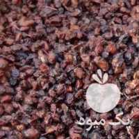 فروش زرشک کوهی زارچ در تهران در گروه خرید فروش عمده ازگیل و تمشک و زرشک - ژاپنی فروش مستقیم در یکمیوه