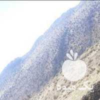 فروش کود گوسفندی در شیراز در گروه خرید فروش کود و مواد شیمیایی - اوره پتاس مرغی کمپوست آهن در یکمیوه