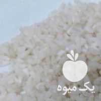 فروش برنج نیم دانه هاشمی در رشت در گروه خرید فروش تجهیزات گلخانه - صنعتی خانگی هوشمند دست دوم در یکمیوه
