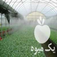 فروش دستگاه مه ساز گلخانه در تبریز در گروه خرید فروش تجهیزات گلخانه - صنعتی خانگی هوشمند دست دوم در یکمیوه