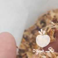 فروش چای کوهی با کلی خواصیت فراوان در تهران در گروه خرید فروش عمده چای - سبز ترش کوهی سیاه در یکمیوه