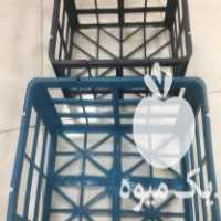 فروش قالب سبد کاهو بزرگ و کوچک  ، قالب سبد ملون و سبد صادراتی در دولت آباد در گروه خرید فروش عمده کاهو - رسمی پیچ سالادی فرانسوی چینی قرمز در یکمیوه