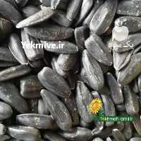 فروش تخمه امیر ، ارسال عمده تخمه آفتابگردان وتخمه کدو در تهران در گروه خرید فروش عمده آفتابگردان - تخمه خوی دیم گل در یکمیوه