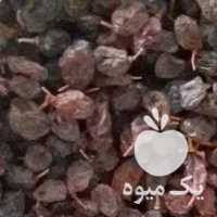 فروش کشمش و مویز در همدان در گروه آجیل - فروش عمده محصولات در یکمیوه