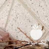 فروش نهال زرشک 2 3 ساله عمده و تکی در بیرجند در گروه خرید فروش نهال - انواع گردو پسته بادام سلطانی انگور در یکمیوه