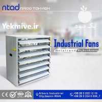 فروش فن 140 بیگرزمن مرغداری  گلخانه در قزوین در گروه خرید فروش عمده انواع گل - پروش قاشقی موسی ساکولنت بن سای در یکمیوه