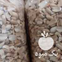 فروش خلال بادام زمینی در آستانه اشرفیه در گروه بادام - درختی کوهی زمینی فروش عمده در یکمیوه