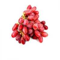 فروش نهال میوه در سمنان در گروه خرید فروش نهال - انواع گردو پسته بادام سلطانی انگور در یکمیوه