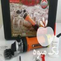 فروش پشمچین گوسفندی مقرون به صرفه ترین پشمچین بازار پشمچین برقی در تهران در گروه گاو و گوسفند و میش و بز کهره گوساله سمینتال در یکمیوه