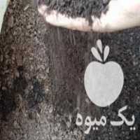 فروش خاک مخصوص سینی نشا در ساری در گروه خرید فروش نشا - انواع گوجه برنج کاهو پیاز کاری فرنگی در یکمیوه