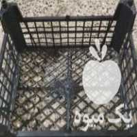 فروش سبد توت فرنگی در گرگان در گروه خرید فروش انواع سبد - میوه پلاستیکی چوبی گل در یکمیوه