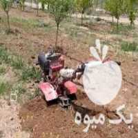 فروش شخم زنی پای درختان باغ و باغ شهر با دستگاه تیلر و تراکتور در زنجان در گروه خرید فروش ابزار ها و تجهیزات کشاورزی - دستی برقی ماشینی بیل کلنگ در یکمیوه