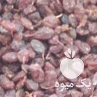 فروش کشمش آفتابی در همدان در گروه آجیل - فروش عمده محصولات در یکمیوه