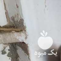 فروش گوسفند رومانف در مشهد در گروه گاو و گوسفند و میش و بز کهره گوساله سمینتال در یکمیوه