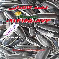 فروش انواع تخمه امیر در تهران در گروه آجیل - فروش عمده محصولات در یکمیوه