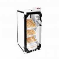 فروش جوجه کشی هوشمند در سردشت در گروه تجهیزات دام و طیور - خرید فروش نو دسته دوم در یکمیوه