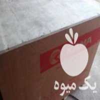فروش تیلر کاما اورجینال 10 اسب در بوکان در گروه خرید فروش ماشین آلات کشاورزی - تراکتور تیلر کمباین مدرن در یکمیوه