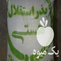 فروش بذر یونجه ی همدانی پایه بلند در سنندج در گروه خرید فروش بذر - انواع محصول کشاورزی گوجه کتان میوه درخت در یکمیوه