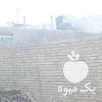 فروش 94 راس گوسفند قزل افشار در شیراز در گروه گاو و گوسفند و میش و بز کهره گوساله سمینتال در یکمیوه