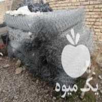 فروش فنس و پایه فلزی فنس در مشهد در گروه خرید فروش سایر محصولات تجهیزات کشاورزی در یکمیوه