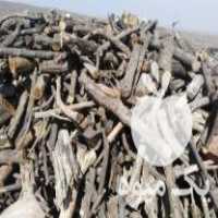 فروش چوب گلابی ،  سیب ،  به در اصفهان در گروه خرید فروش عمده چوب- زغال چوب گردو تبریزی خام در یکمیوه