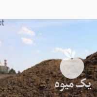 فروش کود گوسفندی درب منزل در یزد در گروه خرید فروش کود و مواد شیمیایی - اوره پتاس مرغی کمپوست آهن در یکمیوه