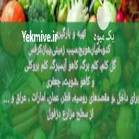 فروش باربارکن کلیه صیفیجات دزفول به تمام نقاط در خوزستان در گروه خرید فروش عمده کاهو - رسمی پیچ سالادی فرانسوی چینی قرمز در یکمیوه