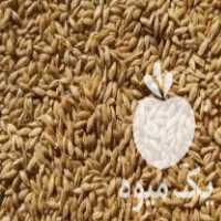 فروش انواع نهاده های دام و طیور در محمودآباد در گروه خرید فروش عمده برنج - نیم دانه عنبر بو هاشمی کاظمی هندی پاکستانی در یکمیوه