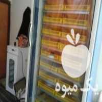 فروش دستگاه جوجه کشی بلدرچین در بابل  در گروه تجهیزات دام و طیور - خرید فروش نو دسته دوم در یکمیوه