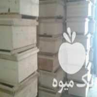 فروش کندو زنبور عسل در نکا در گروه خرید فروش عمده چوب- زغال چوب گردو تبریزی خام در یکمیوه