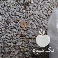 فروش گونی سیب زمینی در کرمانشاه در گروه خرید فروش بسته بندی نایلونی - کیسه نایلکس مشما پلاستیک در یکمیوه