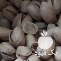 فروش پسته کله قوچی عمده در تهران در گروه آجیل - فروش عمده محصولات در یکمیوه