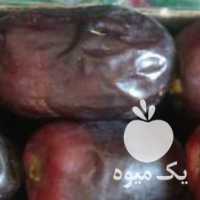 خرید خرمای مستقیم از باغدار در تهران در گروه خرید فروش عمده خرما - کبکاب تازه زاهدی خشک خارک در یکمیوه