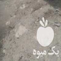 فروش کود بلدرچین در زنجان در گروه خرید فروش کود و مواد شیمیایی - اوره پتاس مرغی کمپوست آهن در یکمیوه