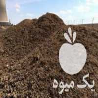 فروش کودهای مرغی فله و پلیت شده در خرم آباد در گروه خرید فروش کود و مواد شیمیایی - اوره پتاس مرغی کمپوست آهن در یکمیوه