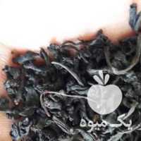 فروش چای لاهیجان بصورت عمده و جزئی در رودسر در گروه خرید فروش عمده چوب- زغال چوب گردو تبریزی خام در یکمیوه