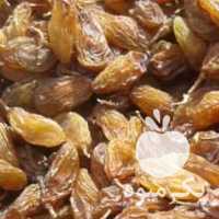 فروش کشمش مویز در شیراز در گروه آجیل - فروش عمده محصولات در یکمیوه