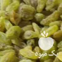 فروش کشمش سبز قلمی کاشمر با کیفیت عمده در تهران در گروه آجیل - فروش عمده محصولات در یکمیوه
